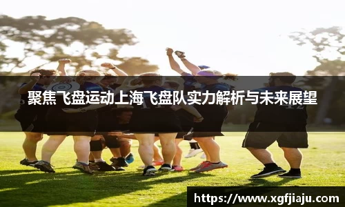 聚焦飞盘运动上海飞盘队实力解析与未来展望